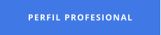 PERFIL PROFESIONAL