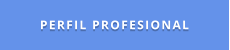 PERFIL PROFESIONAL