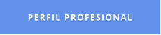 PERFIL PROFESIONAL